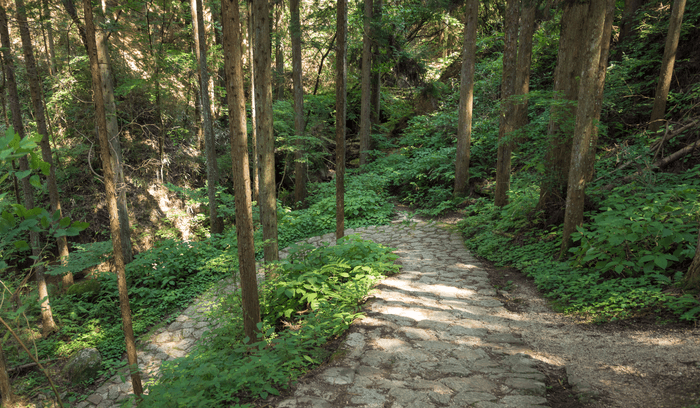 nakasendo way