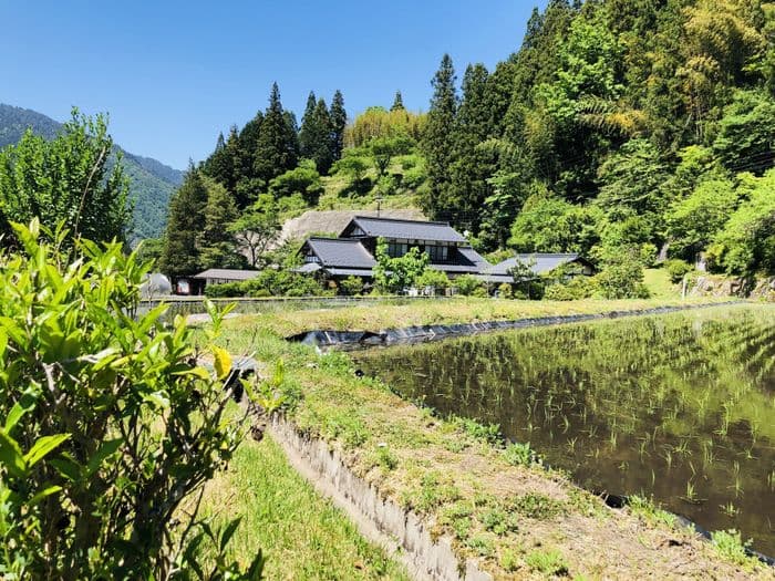 Japaventura