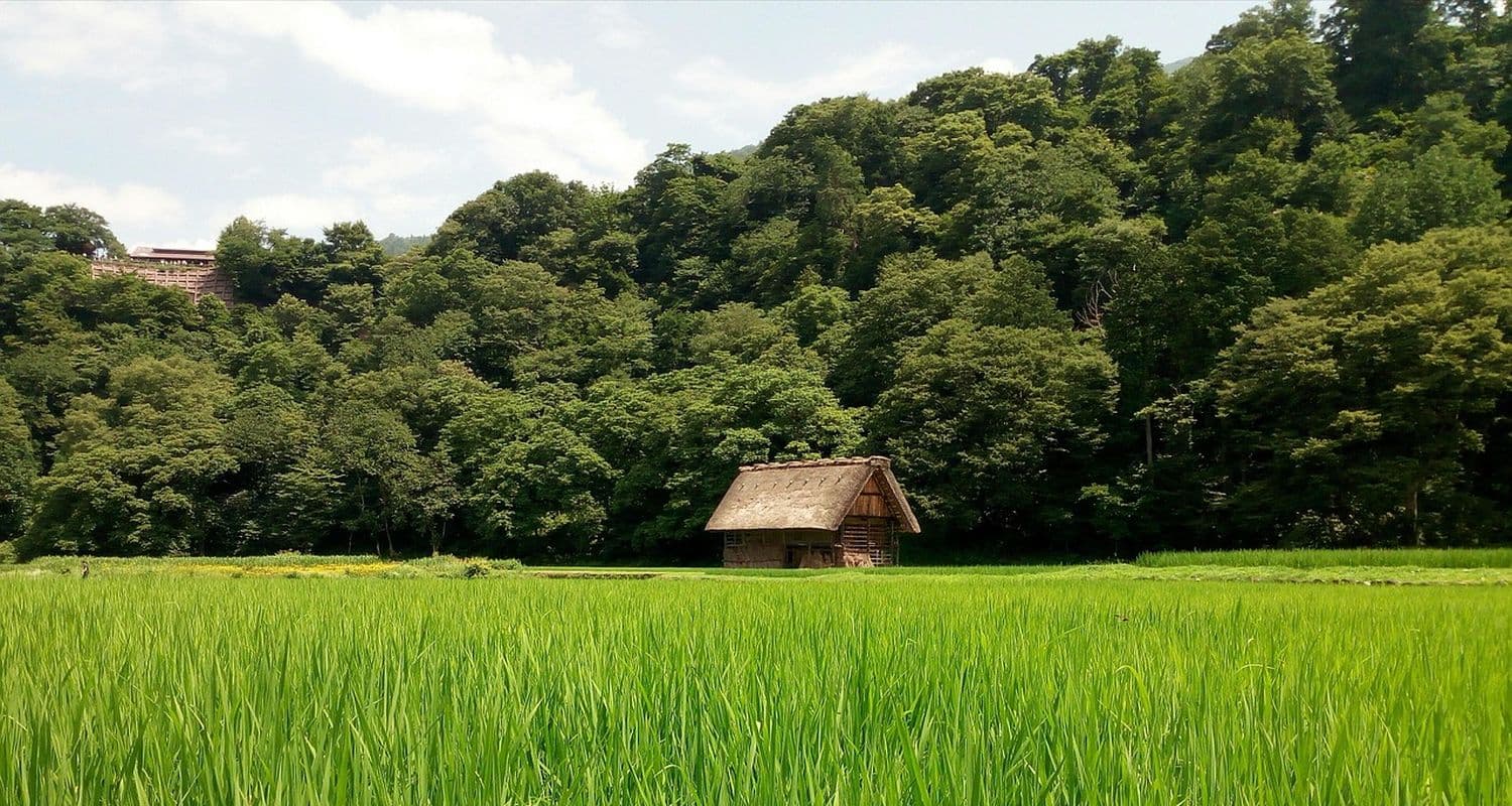 Shirakawago
