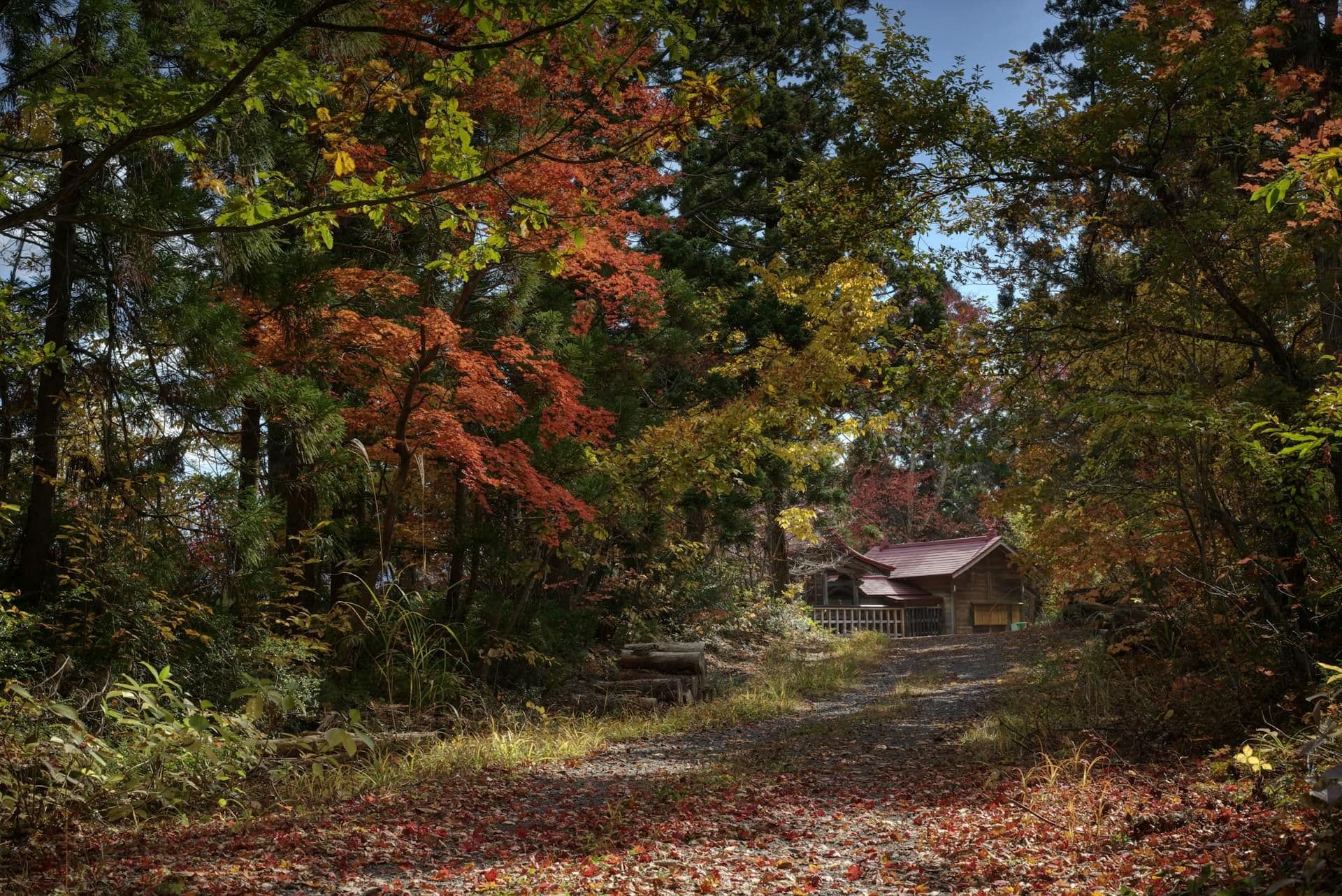 Yamagata Forest