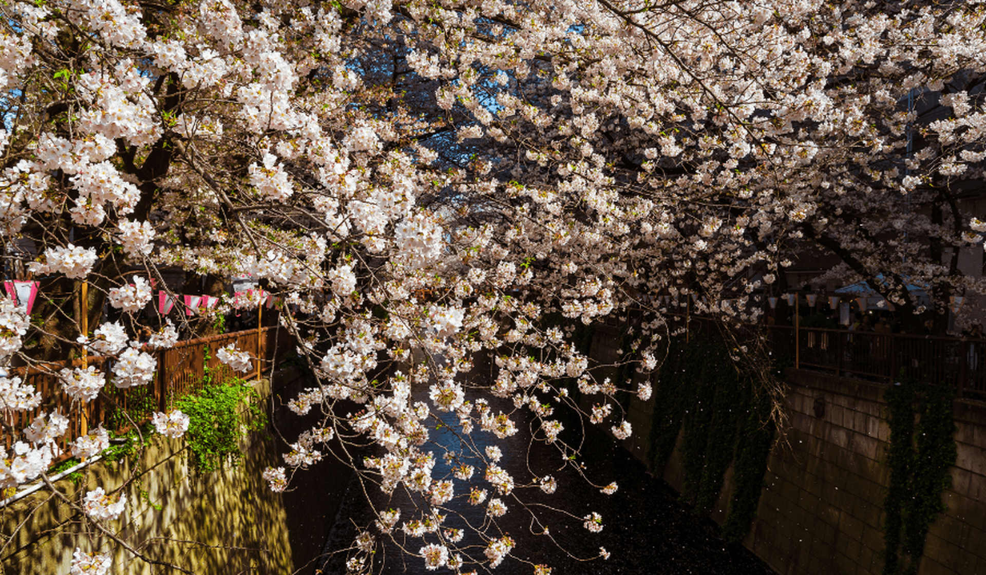 Tokios verborgene Schätze: unsere 10 Geheimtipps