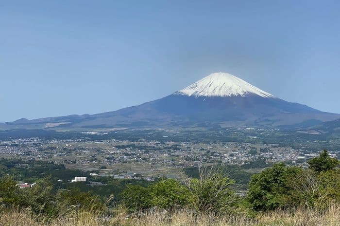 Shizuoka Farmstay