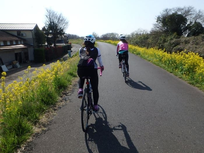 Cycling Japan