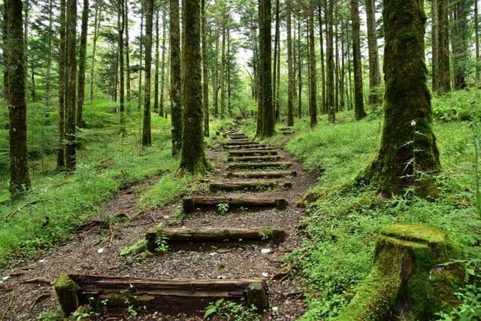 Fuji Hike Gotemba