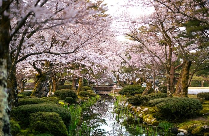 Kenrokuen gardens 4