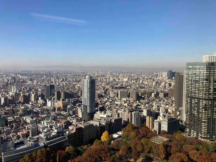 Tokyo Metropolitan Government Building